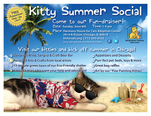kitty summer social