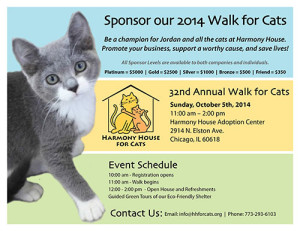 chicago walk for cats