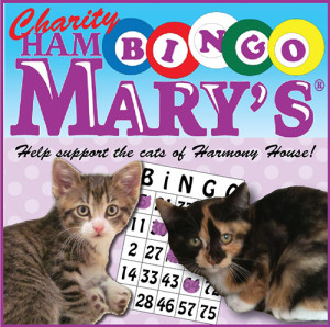 Bingo for cats