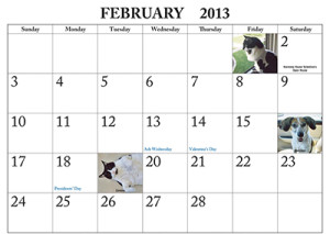 Harmony House for Cats Calendar