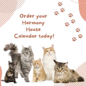 cat calendar